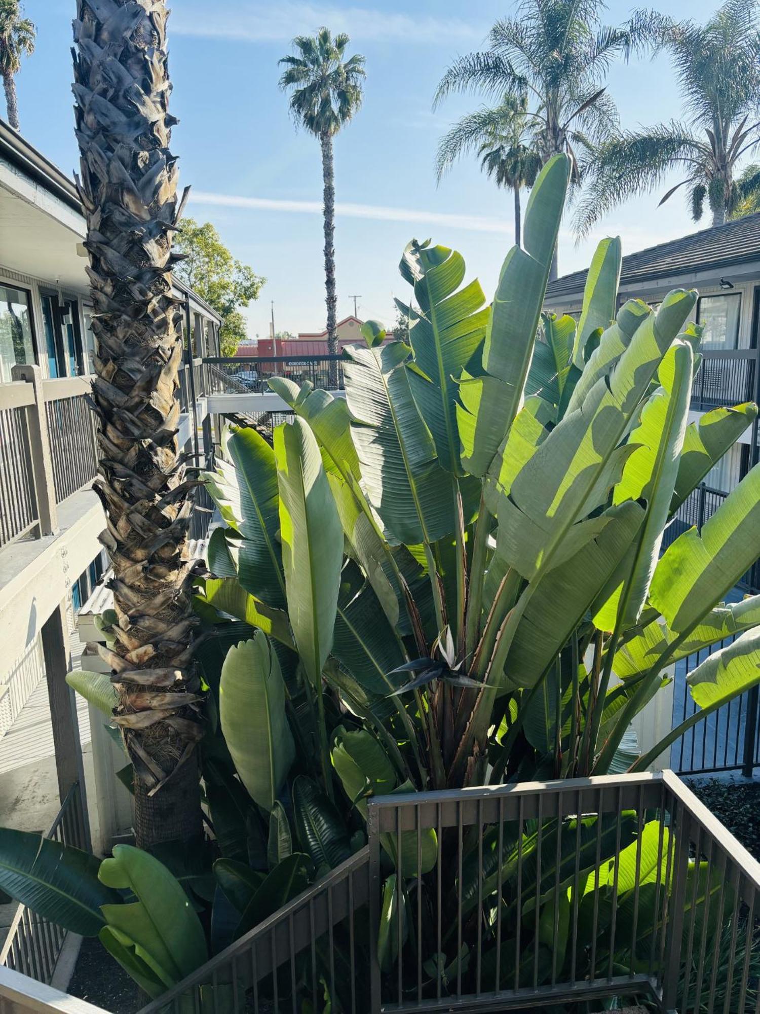 Motel 6-Santa Ana, Ca Exteriér fotografie